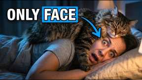 Why Your Cat REALLY Sleeps on Your Face (It's Not Just Heat!) 