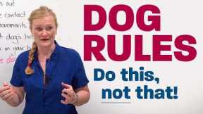 How to Approach a Dog (Without Getting Bitten)