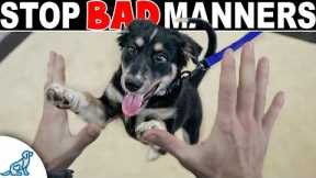 How to Stop Your Dog From Jumping Up on People