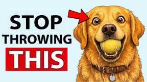 The Right Way to Play With Your Dog (Most Owners Do It Wrong)