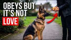 The Dog Training Mistake That Breaks Your Bond