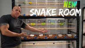 Inside My New Snake Room in Thailand — Built for What’s Coming Next