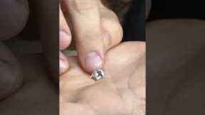 EGG HATCHES IN MY HANDS!