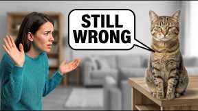 7 Simple Habits That Will Make Your Cat Really Love You 