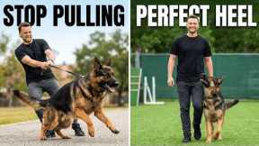 How To Train ANY Dog To HEEL — The First Step Most People Miss