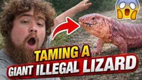 Training my GIANT LIZARD!! 