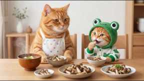 Ginger Kitten And Mama Cat Pick Mushrooms After The Rain And Lead A Lost Panda Back To Its Mom 🐱💖