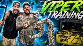Training With The Deadliest Vipers In My Snake Room… (Close Calls!) 