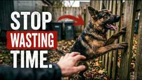 The 80/20 Dog Training Rule (Stop Wasting Your Time)