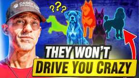 Top 5 Smart Dog Breeds That Won’t Drive You Crazy (Easiest to Train!)