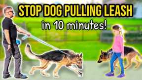 HOW TO STOP DOG PULLING ON LEASH - 10 minutes to Perfect Walk Guaranteed!