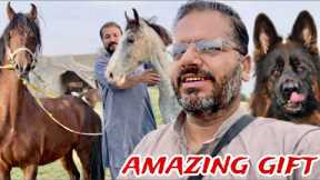 Amazing Gift 🎁 | German Shepherd dog ￼