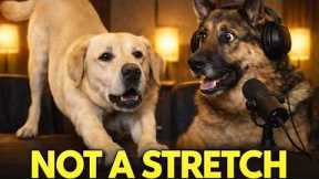 If Your Dog Stretches When It Sees You… It’s Not What You Think..