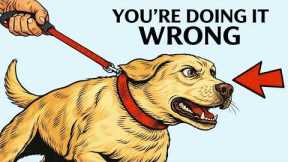 How to Stop Your Dog From Pulling on the Leash (For Good)