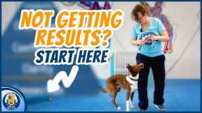 Don't Train Your Dog ... Until You Do THIS!