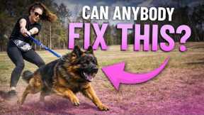 Stop Leash Pulling FAST (Real Dog, Real Results in 10 Minutes)