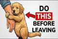 Before You Leave Your Dog Alone, Do