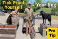Tick Proof Yourself & Your Dog |