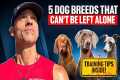 Top 5 Dog Breeds That Can’t Be Left