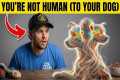 Your Dog Doesn't Think You're Human...
