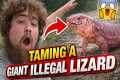 Training my GIANT LIZARD!! 
