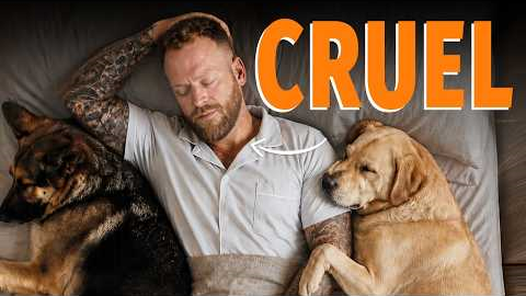 Letting Your Dog Sleep In Your Bed Is Making Them Miserable. Here's Why.