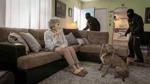 Dogs Tested to See Whether They’d Defend Owner During Home Invasion