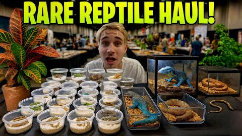I Found a SECRET ROOM Full of RARE REPTILES!