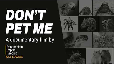Don't Pet Me – what would you do if your pets were banned?