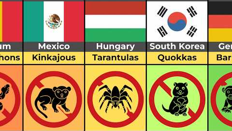Illegal Exotic Pets (By Country)
