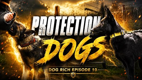Protection Dog Training Day- Dog Rich Episode 10