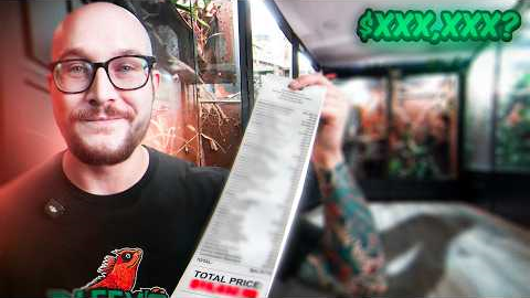 Reptile Room Tour | This is How Much It Costs