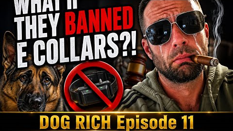 What if they BANNED E Collars?! Dog Rich Episode 11