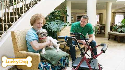 Lucky Dog Marathon | Rescue Dogs Find Their Happy Endings