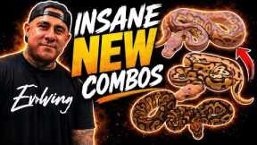     WE’RE BACK… With NEVER Before Seen Combos !! 