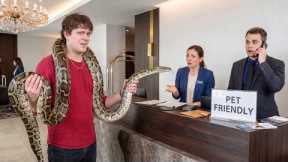 I Tested 'PET FRIENDLY' Hotels With Exotic Animals