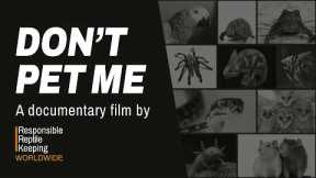 Don't Pet Me – what would you do if your pets were banned?