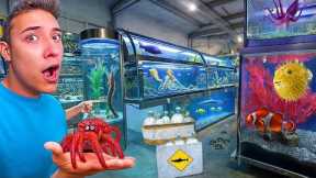 I Discovered a Store Full of the Most Bizarre Exotic Pets