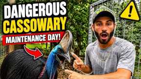 I Had To FACE The MOST DANGEROUS BIRD In The WORLD!