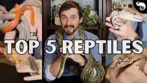 Top 5 Reptiles For Beginners