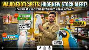 RAREST BIRDS EVER?! Huge New Stock Tour at Wajid Exotic Pets! Giveaway Update?