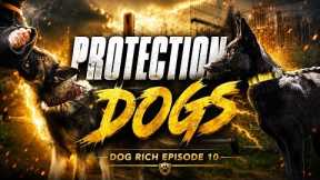 Protection Dog Training Day- Dog Rich Episode 10