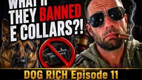 What if they BANNED E Collars?! Dog Rich Episode 11