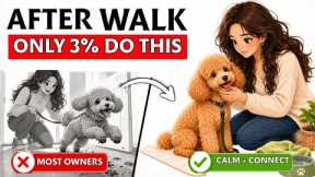 Only 3% of Dog Owners Do This After a Walk (It Changes Everything)