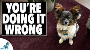 STOP Training Your Small Dog Like a Big Dog