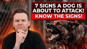 7 Signs A Dog Is About To ATTACK! (And How To Avoid It!)