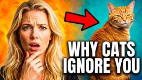 Feline Psychology: Why They Love the Individual Who Overlooks Them 