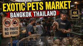 4K HDR | The LARGEST Exotic Pets Market in Bangkok 🇹🇭 This is Crazy!