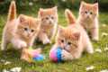 ✨😺 Funny Cat Videos with Cute