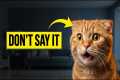 8 Words You Ought To NEVER Say to